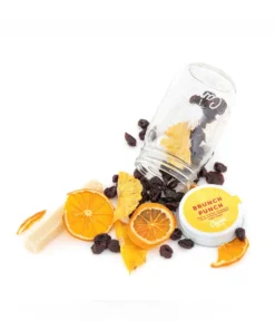 Camp Craft Cocktails 16oz Brunch Punch