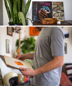 Iron & Resin Perfect Tee: 2-Pack All Apparel