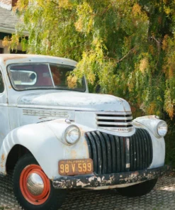 Iron & Resin Uncharted Waters Shirt All Apparel